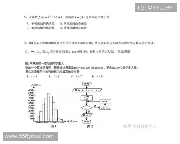 广州排球队战术解析：构建高效控制体系的成功之道