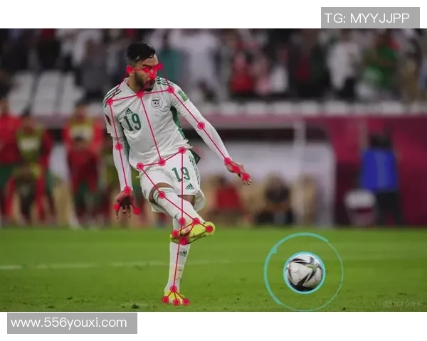 狼狗足球明星的真实身份揭晓背后的故事与成就分析